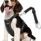 Dog Seat Belt Harness for Car, Dog Car Harness Adjustable Mesh Breathable & Dogs Seatbelt Safety Tether with Elastic Bungee for Small Medium Large Pets(Carbon Black, S)