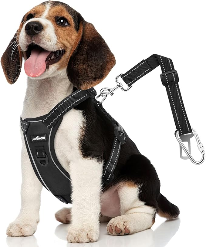 Dog Seat Belt Harness for Car, Dog Car Harness Adjustable Mesh Breathable & Dogs Seatbelt Safety Tether with Elastic Bungee for Small Medium Large Pets(Carbon Black, M)