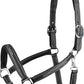 HORZE Warren Soft Adjustable Genuine Leather Horse Halter | Stainless Steel Hardware - Black - Cob