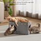 DownyPaws Cat House for Indoor Cats, Cat Bed Cave for Multiple & Large Cats Up to 22 Lbs, Scratch Resistant, Foldable Peekaboo Kitten Caves Tunnel Enclosed Bed, PeekaPurr, Light Gray