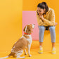 Dogline Biothane Waterproof Dog Collar Strong Coated Nylon Webbing with Black Hardware Odor- Proof for Easy Care Easy to Clean High Performance Fits Small Medium or Large Dogs, Hunter Orange