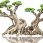Novelsite Fish Tank Decorations - Large Bonsai Trees with Faux Moss- Aquarium Rocks Aquascaping- Made of Sandstone 17" x 8.6" x 5" Enhance Aquatic Landscape with Realistic Natural Look