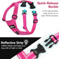 Dog Seat Belt Harness for Car, Dog Car Harness Adjustable Mesh Breathable & Dog Seatbelt Safety Tether with Elastic Bungee for Small Medium Large Pets(Rose, XL)