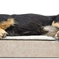 FurHaven Soft, Orthopedic Foam Sofa Dog Bed with Washable & Removable Cover - Sherpa/Chenille - Cream, Dogs Up to 35 lbs - Medium