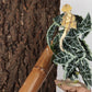 Reptile Plants for Terrarium, Amphibian Habitat Decor Artificial Hanging Plants with Suction Cup - Fake Alocasia Black Velvet