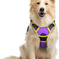 rabbitgoo Dog Harness No Pull with 2 Leash Clips, Adjustable Soft Padded, Reflective Oxford No Choke Pet Vest with Easy Control Handle for Medium Sized Dogs, Purple & Yellow, M