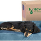 Furhaven Pillow Dog Bed for Medium/Small Dogs w/ Removable Bolsters & Washable Cover - Faux Fur & Velvet Sofa - Harbor Blue, Medium