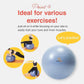 Exercise Ball for Balance Stability Fitness Workout Yoga Pilates at Home Office & Gym Birthing Ball for Pregnancy, Office Ball Chair