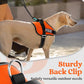 rabbitgoo Dog Harness for Small, Easy On Pet Vest with One Buckle, No Pull Adjustable Service Harness with D-Ring & Handle, Reflective for Safety Walking, Training, Orange, S