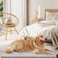 OhGeni Orthopedic Waterproof & Machine Washable Dog Bed for Large Pets, Suitable for Crates, 25D Egg Crate Foam, Non-Slip Bottom & Removable Cover, Checkerboard Fabric, 41 Inches(Gray)