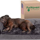 Furhaven Cooling Gel Dog Bed for Medium/Small Dogs w/ Removable Bolsters & Washable Cover, For Dogs Up to 35 lbs - Plush & Velvet L Shaped Chaise - Platinum Gray, Medium