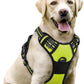rabbitgoo Dog Harness No Pull with 2 Leash Clips, Adjustable Soft Padded, Reflective Oxford No Choke Pet Vest with Easy Control Handle for Large Dogs, Green, L