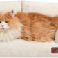 Hollypet Fluffy Plush Dog Cat Pet Couch Soft Calming Sofa Bed for Medium Small Cats and Dogs, Beige