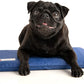 Dog Cooling Pad Dog Cooling Products Hydro Cooling Mat (18"x10.5") (Mini)