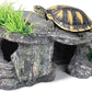 Premium Small Fish Tank Decorations, Reptile Tank Accessories, Turtle Tank Accessories, Natural Reptile Hide for Bearded Dragon, Professional Turtle Basking Platform (Small)