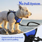 rabbitgoo Dog Harness No Pull with 2 Leash Clips, Adjustable Soft Padded, Reflective Oxford No Choke Pet Vest with Easy Control Handle for Puppy, Dazzling Blue,XS