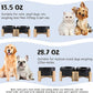 SPUNKYJUNKY 15° Slanted Ceramic Dog and Cat Bowl with Wooden Stand, Tilted Bulldog Food and Water Bowl No Slip Non-Spill for Cats Medium Dogs Big Face Pets 13.5 OZ (1.7 Cups, Black × 2)