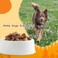 Jungle Calling Freeze Dried Cat & Dog Treats, Freeze Dried Chicken Hearts for Cats & Dogs, High Protein Single Ingredient Chicken Heart Treats, Grain Free Pet Training Treats (Chicken Hearts, 2.3 oz)