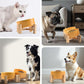 SPUNKYJUNKY 15° Slanted Ceramic Dog and Cat Bowl with Wooden Stand, Tilted Bulldog Food and Water Bowl No Slip Non-Spill for Cats Medium Dogs Big Face Pets 13.5 OZ (1.7 Cups, Yellow × 2)