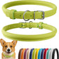 CollarDirect Rolled Leather Dog Collar, Soft Padded Round Puppy Collar, Handmade Genuine Leather Collar Dog Small Large Cat Collars 13 Colors (13-16 Inch, Lime Green Smooth)