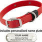 Biothane Custom Dog Collar – Waterproof, Stink-Proof Personalized Collar with Name & Phone Number – Durable, Many Sizes and Colors – Assembled in USA (Cherry Red)