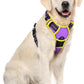 rabbitgoo Dog Harness No Pull with 2 Leash Clips, Adjustable Soft Padded, Reflective Oxford No Choke Pet Vest with Easy Control Handle for Large Dogs, Purple & Yellow, XL