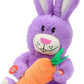 Hopearl Talking Singing Bunny Repeats What You Say Rabbit Musical Shaking Head Electric Interactive Animated Toy Speaking Plush Buddy Gifts for Toddlers, Purple, 15''