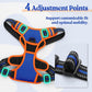 rabbitgoo Dog Harness No Pull with 2 Leash Clips, Adjustable Soft Padded, Reflective Oxford No Choke Pet Vest with Easy Control Handle for Medium Sized Dogs, Blue & Orange, M