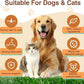 Salmon Oil for Dogs, Fish Oil for Cats, 32oz Salmon Oil for Dogs Skin and Coat Fish Oil Supplements with Vitamin D, EPA + DHA for Itchy Relief, Immune Support for Joints & Heart, Dry Skin & Allergies
