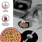 BIXBI Rawbble Freeze Dried Dog Food, Beef Recipe, 4.5 oz - 98% Meat and Organs, No Fillers - Pantry-Friendly Raw Dog Food for Meal, Treat or Food Topper - USA Made in Small Batches
