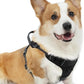 PUPTECK No Pull Dog Harness Medium Sized, Adjustable Reflective Dog Harness with Handle Easy Control, Comfortable Soft Padded Pet Vest Harness for Medium Dogs, Black M