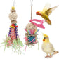 Wontee Bird Toys Colorful Shredding Crinkles Foraging Toys Natural Sola Ball for Parrots Cockatiels Conures Parakeets Budgies Senegal (Sola Ball (2 Pack))