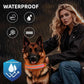 PetIsay LED Dog Collar Metal Buckle - Heavy Duty Light up Collars - Rechargeable IP68 Waterproof - Lighted Dog Collar for Night Walking, Hiking, Camping (Medium, Orange)