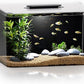 Betta Fish Tank, 2.5 Gallon Aquarium Kit with Filter, Light, Self Cleaning, Oxygenation, Small All in One Starter Fish Tank for Goldfish, Guppy, Shrimp, Desktop, Acrylic