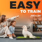 Hompet Dog Grass Pad with Tray Large, 29"x20.5", 2 Reusable Artificial Turf for Dogs Potty, Waterproof Non-Slip Washable Pee Pads, Quickly Absorbency Portable Dog Litter Box for Indoor/Outdoor Use