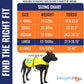 Dog Reflective Vest – Hi-Vis Fluorescent Visibility That Helps to Safeguard Your Pet On/Off Leash in Urban & Rural Areas (Yellow, Large)