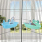 Wontee Bird Bath Box with Mirror Portable Parrot Hanging Bathroom Bathing Tub for Small Birds Cleaning Supplies (Blue(A)+Green)