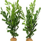 JIHAQUA Lifelike Reptile Tank Plant Decor - Realistic Artificial Plastic Plant for Terrariums and Pet Enclosures (Style D 2 Pack)