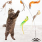 Interactive Bird Simulation Cat Toy Set for Bored Indoor Adult Cats Feather Toy Wand 5 Pcs Natural Bird Feathers Stable Round Base Wand Cat Toys for Indoor Cats Hunting Toys