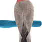 Comfort Grip Safety Perch for Bird Cages - Pedicure Perch for Birds to Keep Nails and Beaks in Top Condition - Safe Easy to Install Bird Cage Accessories - M 8.5"