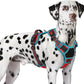 Eagloo Dog Harness for Large Dogs, Easy Wearing with 3 Buckles, Adjustable No Pull Pet Harness with 2 Rings for Walking, No Chock Reflective Soft Padded Vest with Control Handle, Red & Teal, XL