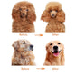 Dog or Cat Comb Grooming with Short and Long Teeth Dematting Knots Tangles Remover Combs Detangler Tool Suitable for Dogs Cats Poodle HorseStainless Steel Pin (Yellow)