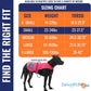 Dog Reflective Vest – Hi-Vis Fluorescent Visibility That Helps to Safeguard Your Pet On/Off Leash in Urban & Rural Areas (Pink, Small)