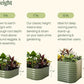 Vego garden Raised Garden Bed Kits, 11" Tall 9 in 1 8ft X 2ft Metal Raised Planter Bed for Vegetables Flowers Ground Planter Box-Pearl White