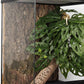 Reptile Plants for Terrarium, Amphibian Habitat Decor Artificial Hanging Plants with Suction Cup - Fake Swiss Cheese Plants Monstera Adansonii