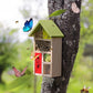 Premium Bug Hotel Kit Cedar Wood Insect Hotel Insect House - Backyard Bee House, Nesting Habitat Shelters, Garden Shelter for Bees, Butterflies, Bugs,Heavy Duty Thickness Colorful