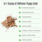 K9 Power Puppy Gold 1 lb - Supplement for Growing Puppies & Nursing Mothers - Essential Nutrients for Healthy Growth & Development - 45 Scoops