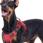 rabbitgoo Dog Harness for Large Dogs No Pull, Tactical Service Pet Vest with Molle and Control Handle, Adjustable and Reflective Military Harness for Easy Walking and Training, Red, XL