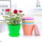 10 Pack 4 Inch Plant Pots Bulk Small Plastic Planters Pots with Drainage Holes Flower Pot for Succulent, Cactus, Herb, African Violet (10pcs-Multicolor, 4Inches)