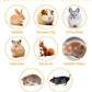 600g Apple Sticks Small Animals Wooden Pet Chew Treats Toys for Guinea Pigs Hamsters Rabbits Chinchillas Squirrels Small Animal Molar Wood Treats Toys